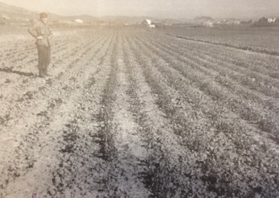 Riforma agraria 