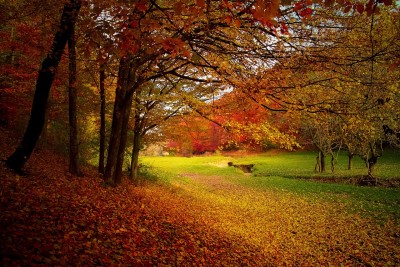 autumn