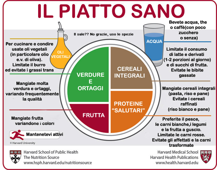 Se Si Riuscisse A Dare A Ciascuno La Giusta Dose Di Nutrimento Ed Esercizio Fisico Avremmo Trovato La Strada Per La Salute Ippocrate Il Nuovo Corriere Del Tufo