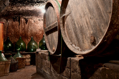 Guergana Radeva_Cantina