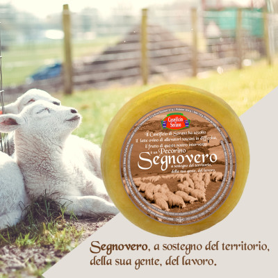 segnovero04