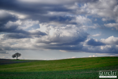 Colline a San Quirico di Sorano